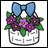 violets